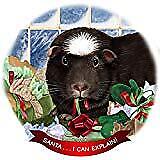 Guinea Pig Crested Black/White Porcelain Ornament 'Santa. I Can Explain!'