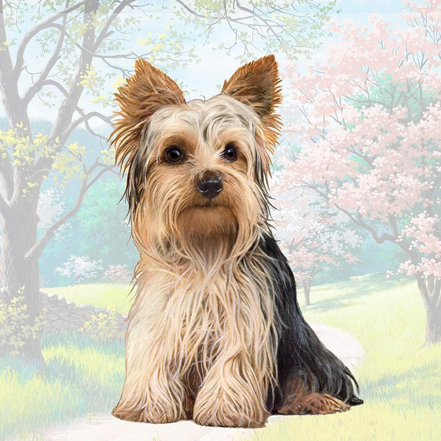 Yorkshire Terrier (Sitting) Tabletop Drink Coaster (1)