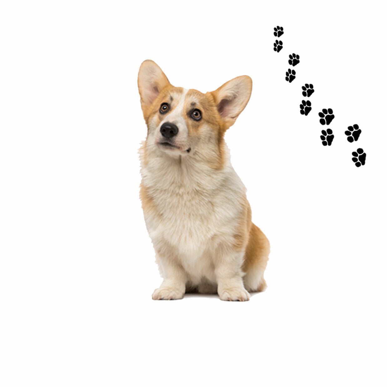 Andreas Round Silicone Mat Jar Opener, Corgi Dog, 6.25 Inch