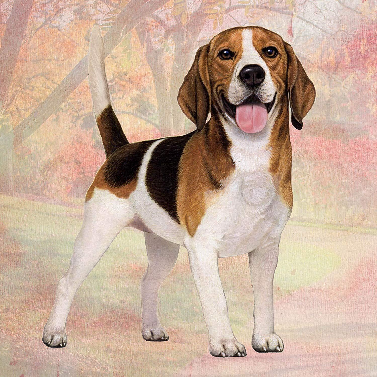 Beagle Tabletop Drink Coaster (1)