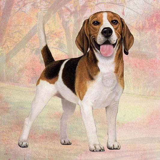 Beagle Tabletop Drink Coaster (1)