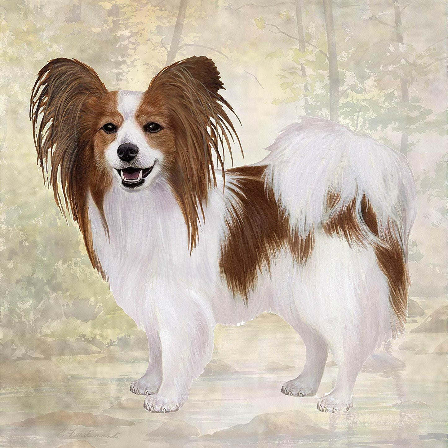 Papillon Tabletop Drink Coaster (1)