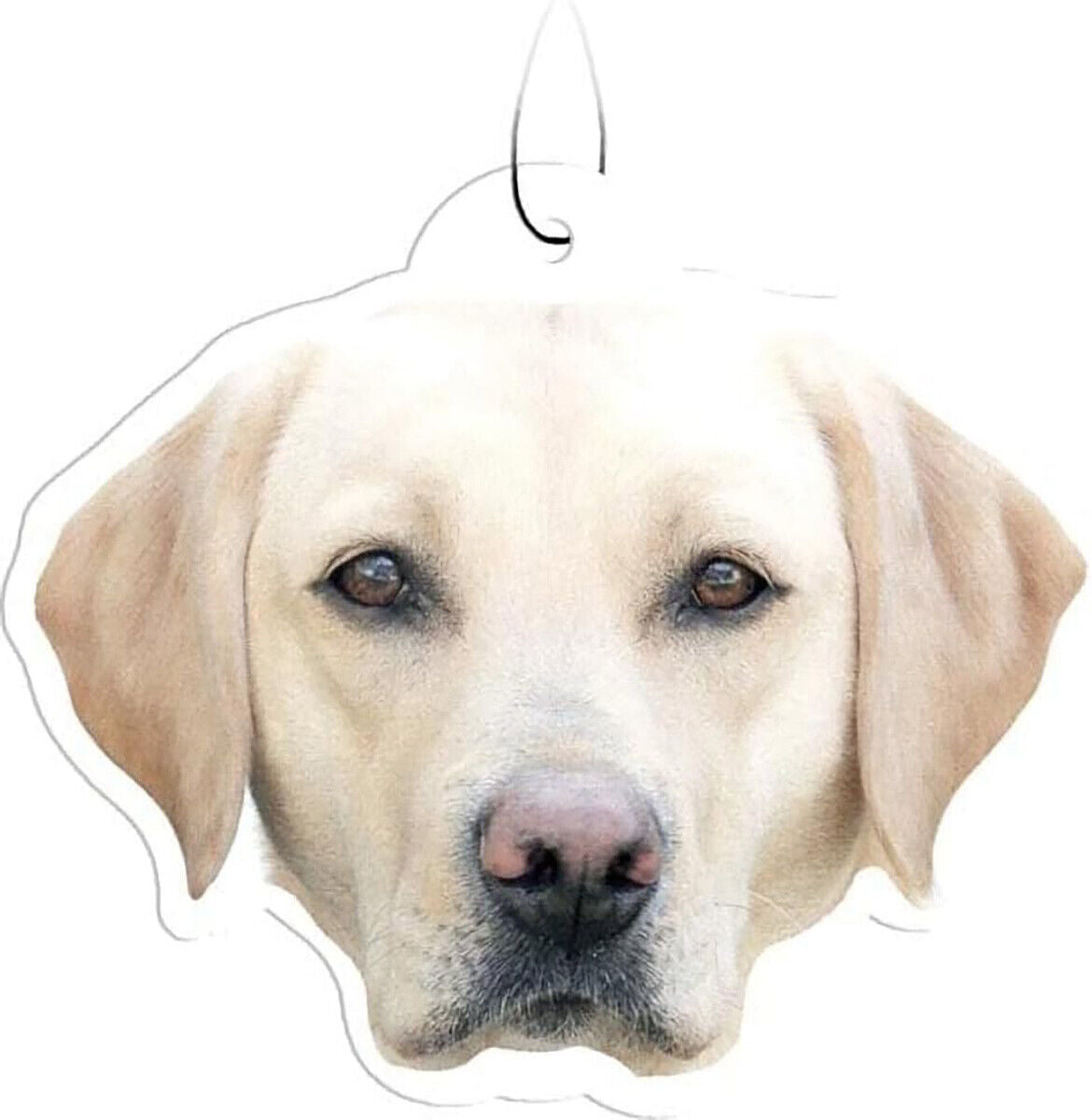 Spoontiques Yellow Lab Labrador Retriever Air Freshener (3-Pack)