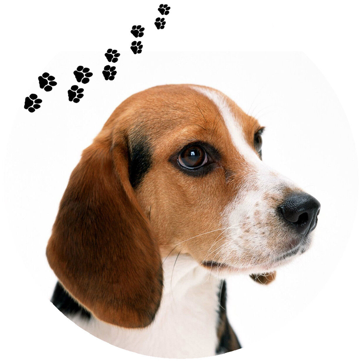 Andreas Round Silicone Mat Jar Opener, Beagle Dog, 6.25 Inch