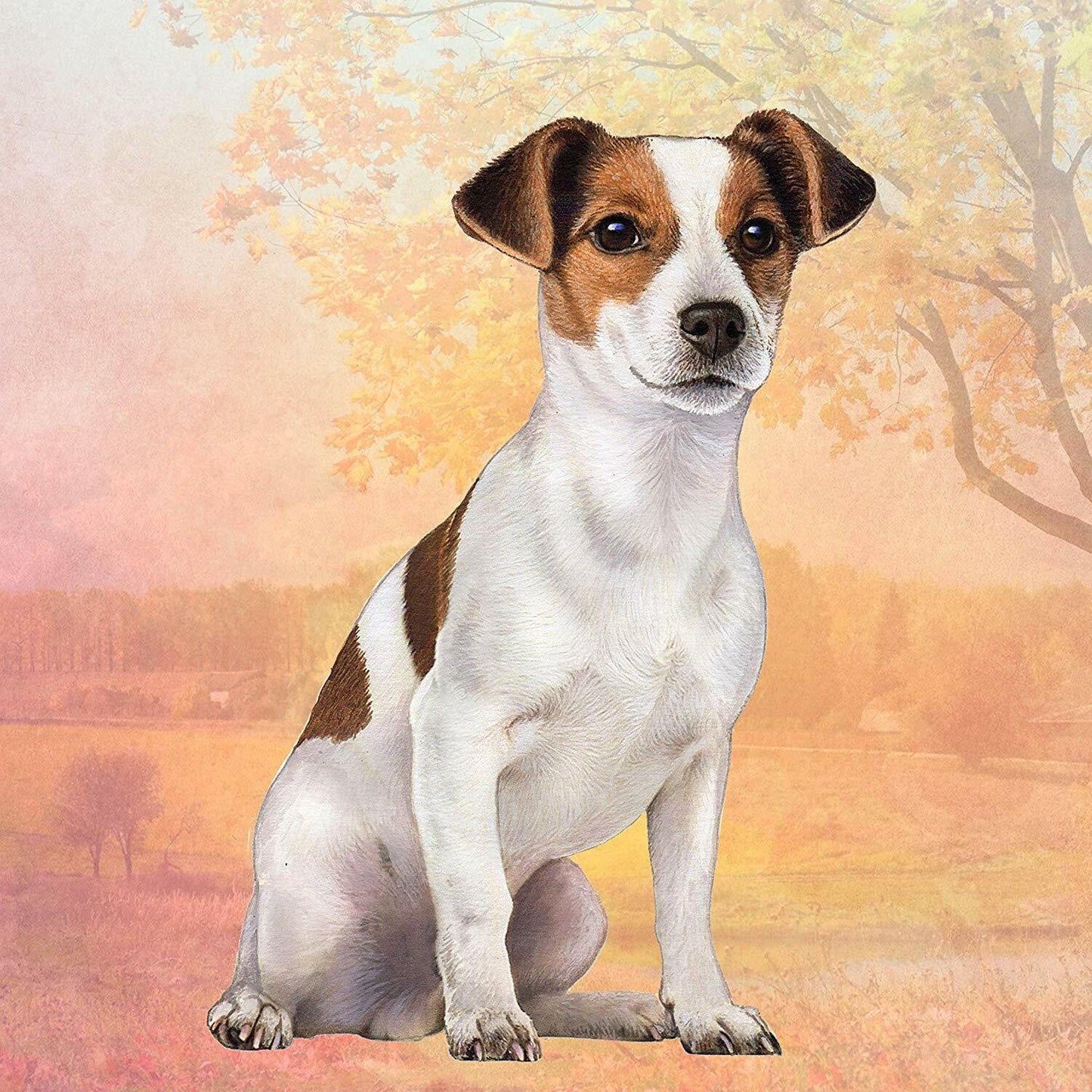 Jack Russell Tabletop Drink Coaster (1)