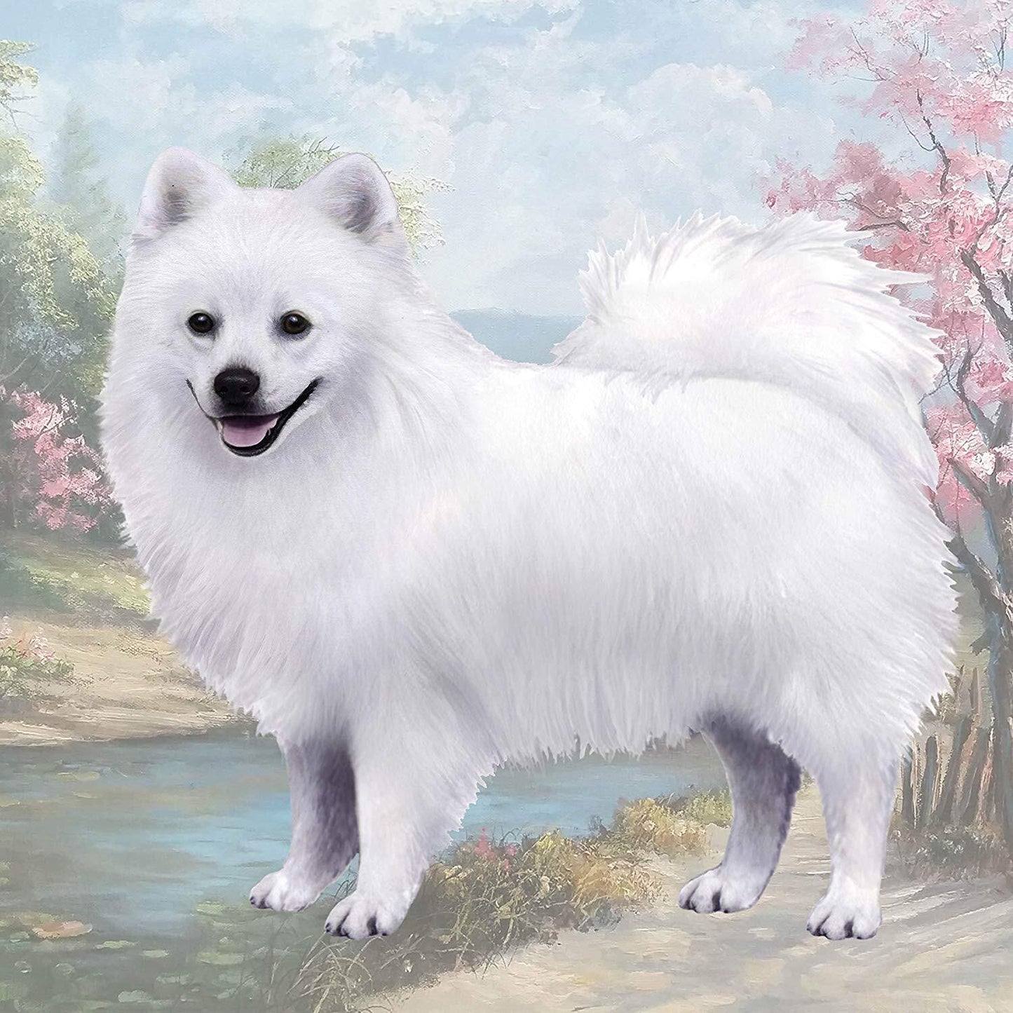 American Eskimo Dog Tabletop Drink Coaster (1)