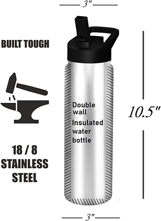E&S Pets Stainless Steel Water Bottle 24 Oz., Spill Proof (Silver Tabby Cat)