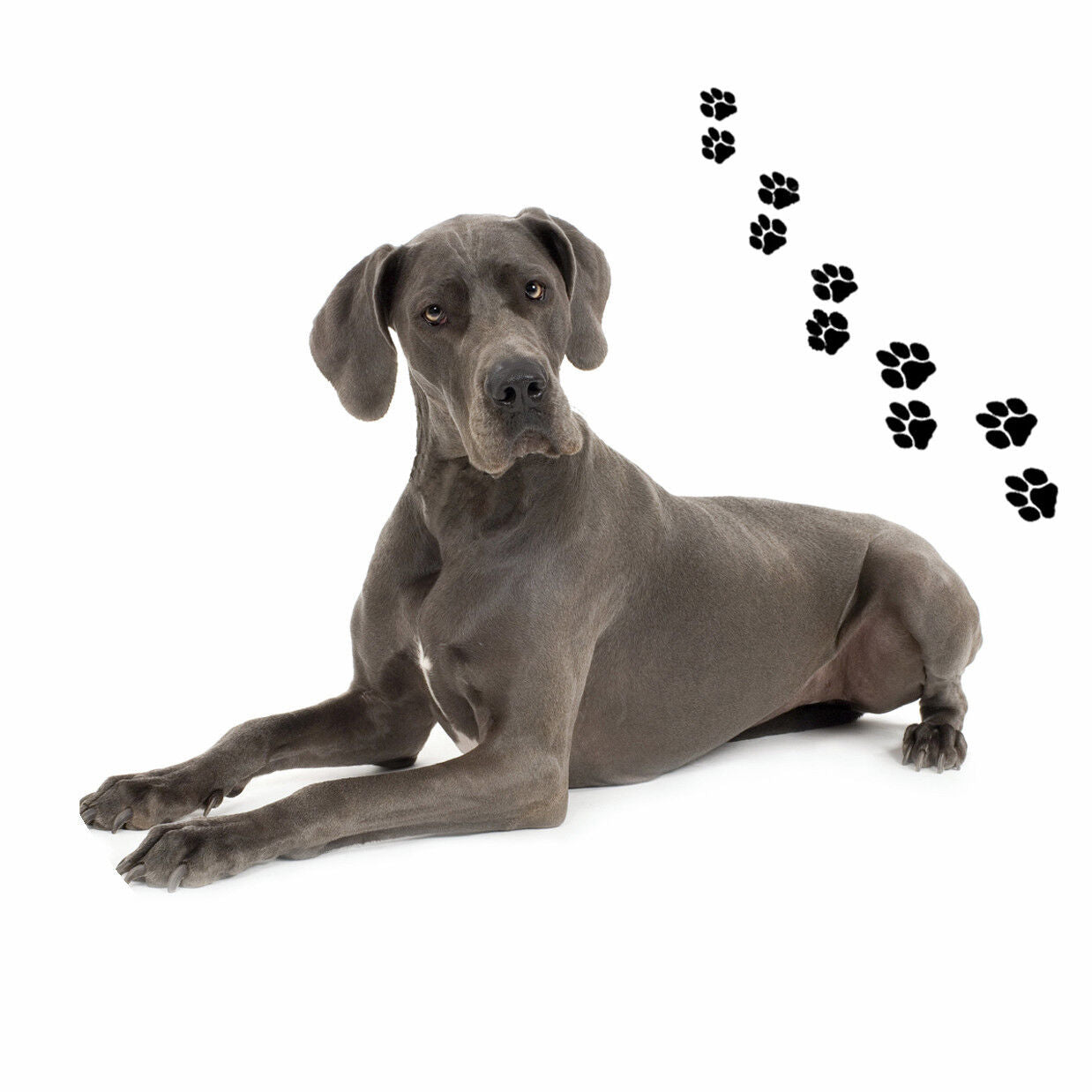Andreas Round Silicone Mat Jar Opener, Great Dane Dog, 6.25 Inch