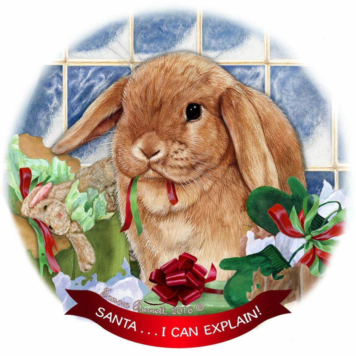 Mini Lop Rabbit Porcelain Hanging Ornament Pet Gift 'Santa.. I Can Explain!'