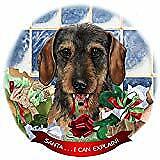 Dachshund Wirehair Wild Boar Dog Porcelain Ornament 'Santa. I Can Explain!'