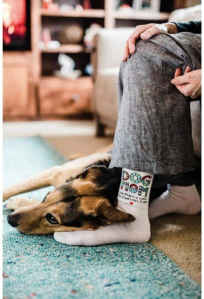 Enesco Our Name Is Mud Cuppa Doodle Dog Mom Socks