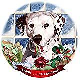 Dalmatian Liver/White Dog Porcelain Ornament Pet Gift Santa I Can Explain!