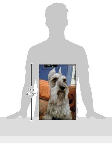LittleGifts Garden Flag, Schnauzer