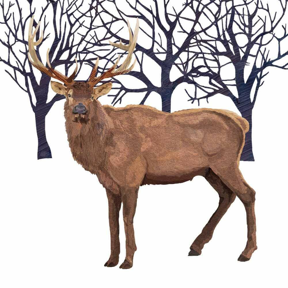 Paperproducts Design 3252941 Winter Elk Beverage Napkin, 5" x 5", Multicolor