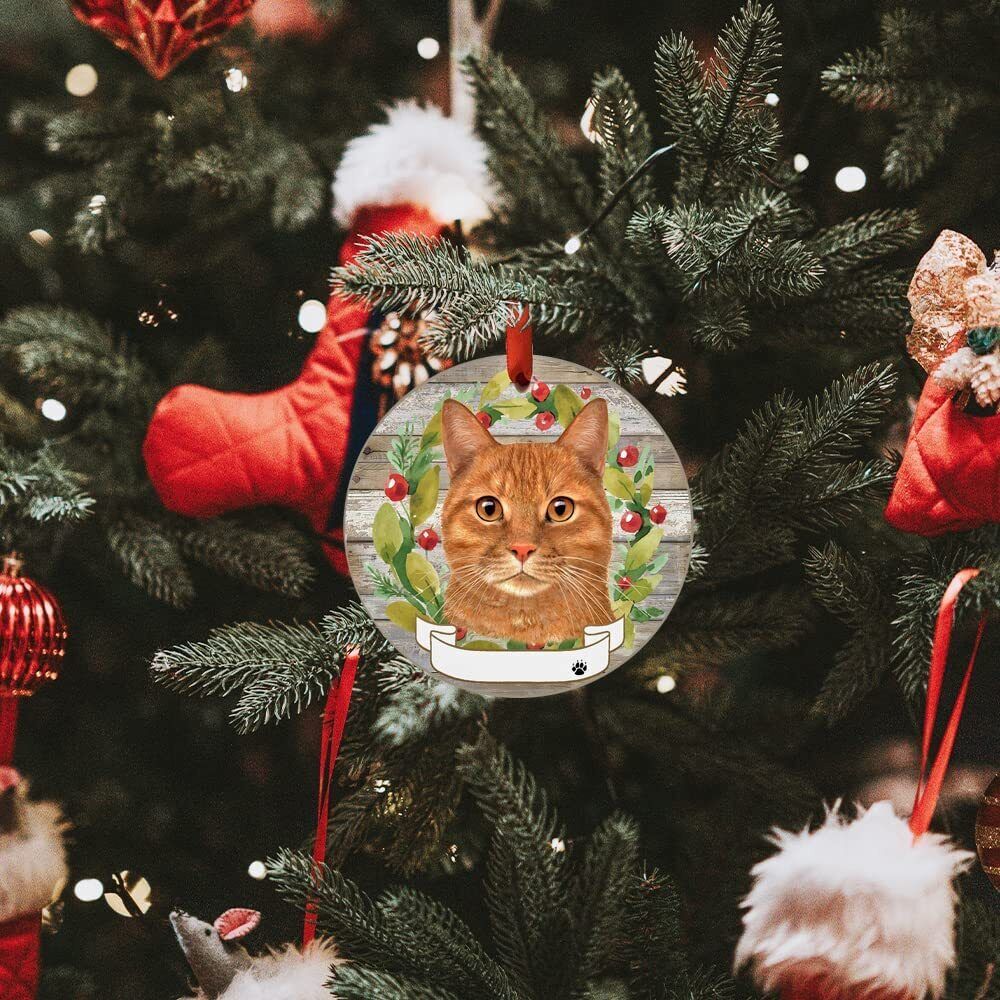 Orange Tabby Cat Ornament - E&S Pets - Personalizable, Ceramic Round Ornament