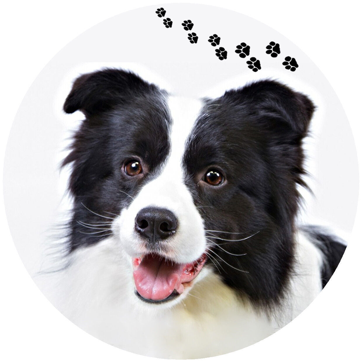 Andreas Round Silicone Mat Jar Opener, Border Collie Dog, 6.25 Inch