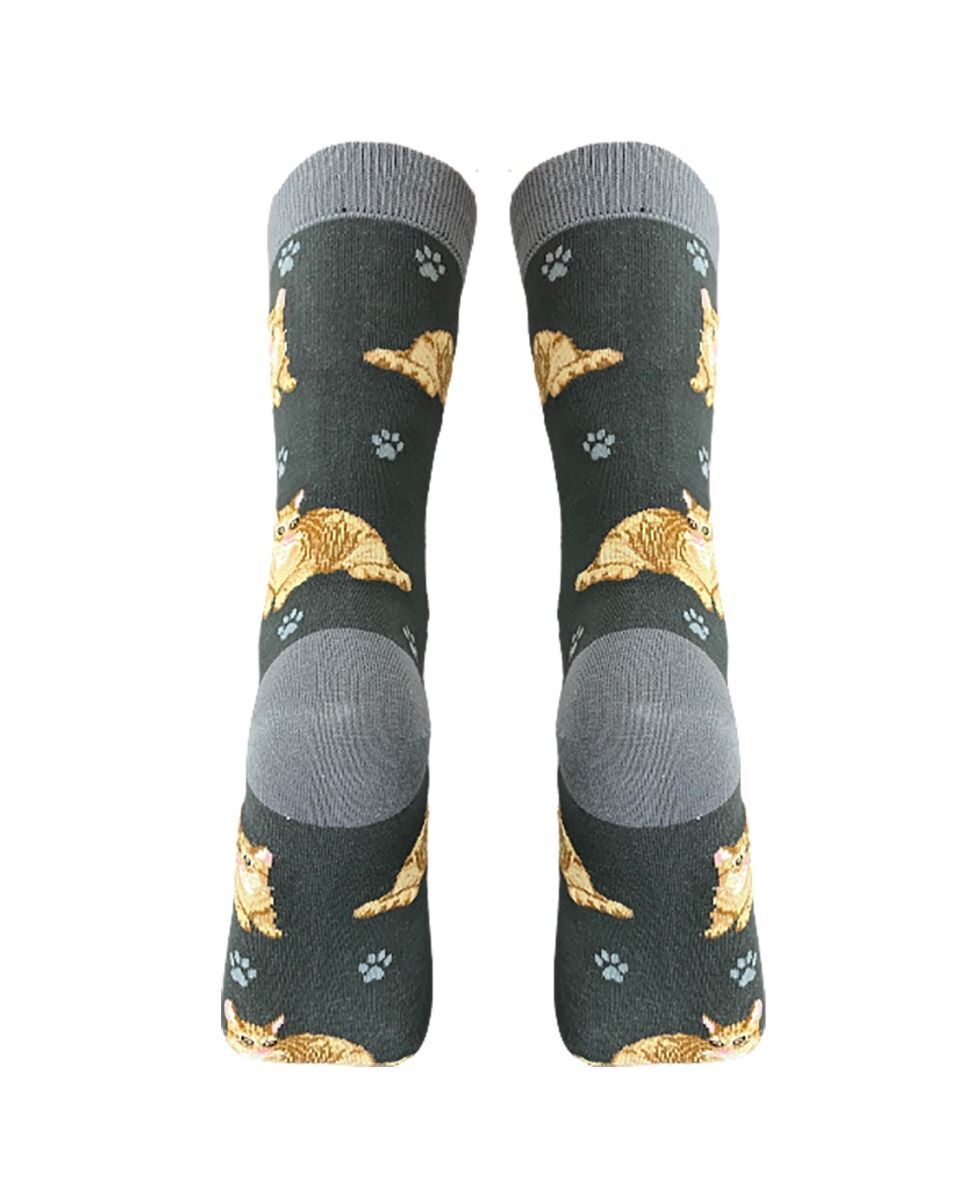 Happy Tails Orange Tabby Cat Lover Socks - One Size Fits Most