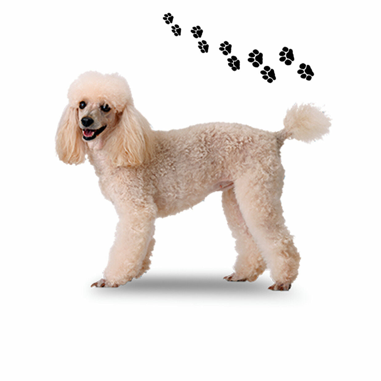 Andreas Round Silicone Mat Jar Opener, White Poodle Dog, 6.25 Inch