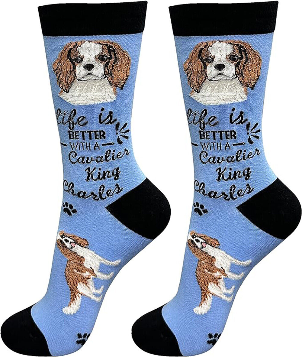 E&S Pets Pet Lover Socks, Life is Better with a Cavalier King Charles