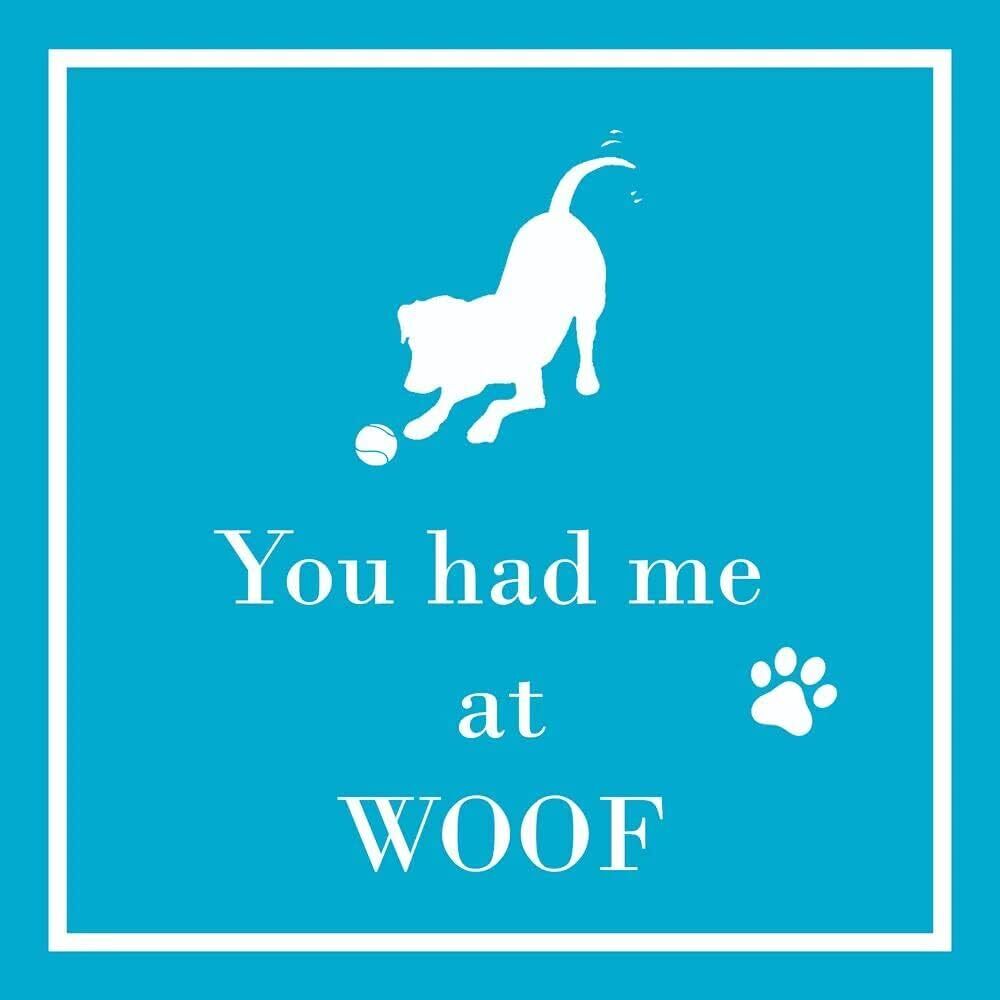 Paperproducts Design You Had Me at Woof Beverage/Cocktail Paper Napkins,5"x5"