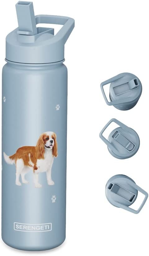 E&S Pets Stainless Steel Water Bottle 24 Oz, Spill Proof (Yellow Labrador)