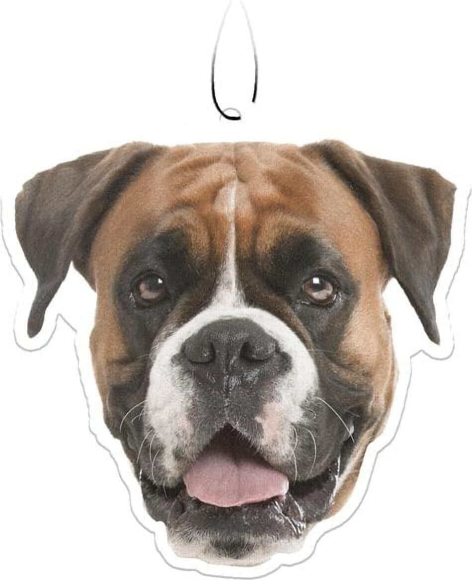 Spoontiques Boxer Air Freshener (3-Pack)
