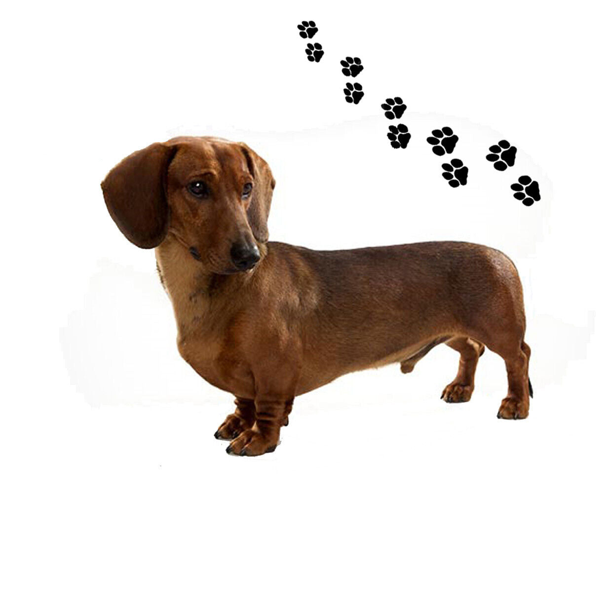 Andreas Round Silicone Mat Jar Opener, Red Dachshund Dog, 6.25 Inch