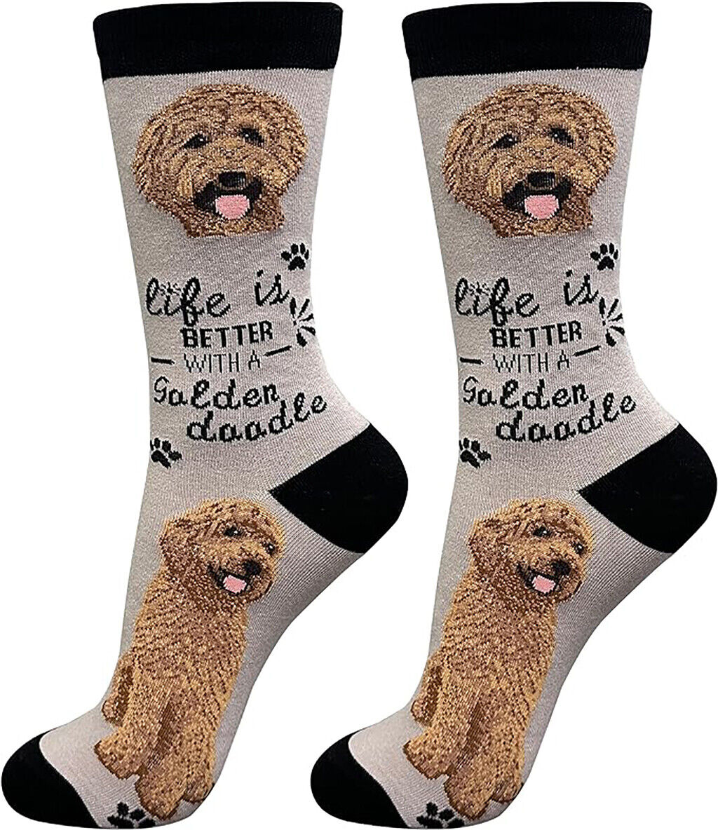 E&S Pets Pet Lover Socks, Life is Better with a Goldendoodle, Red