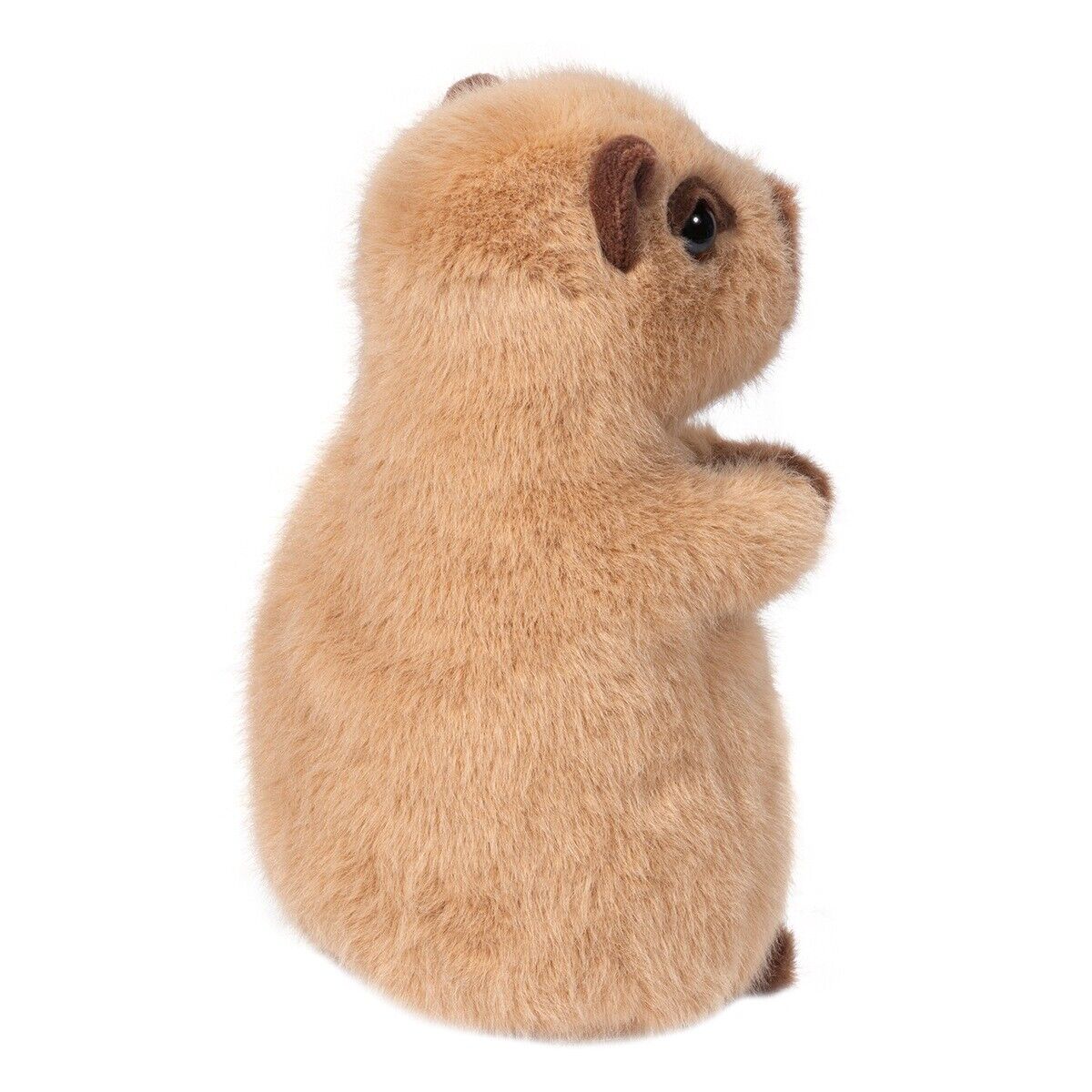 Douglas Cuddle Toys Mini Chattie Soft Capybara Plush Stuffed Animal, 10"