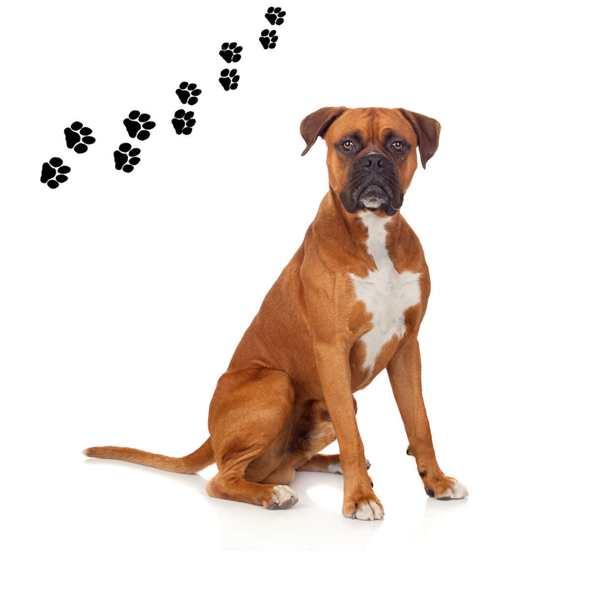 Andreas Round Silicone Mat Jar Opener, Boxer Dog, 6.25 Inch