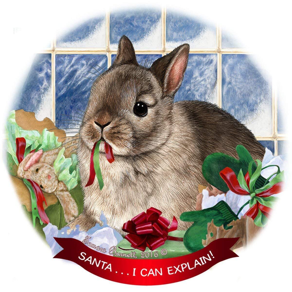 Netherland Dwarf Rabbit Porcelain Ornament Pet Gift 'Santa.. I Can Explain!