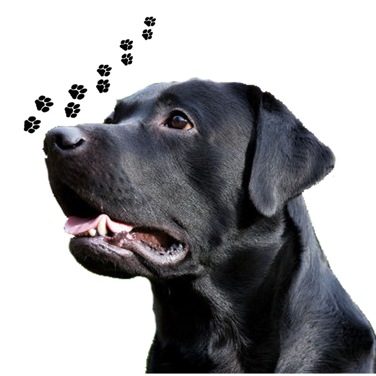 Andreas Round Silicone Mat Jar Opener, Black Labrador Retriever Dog, 6.25 Inch