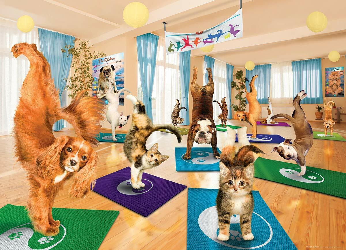 EuroGraphics Dogs and Cats Yoga Studio Jigsaw Puzzle (300-Piece)