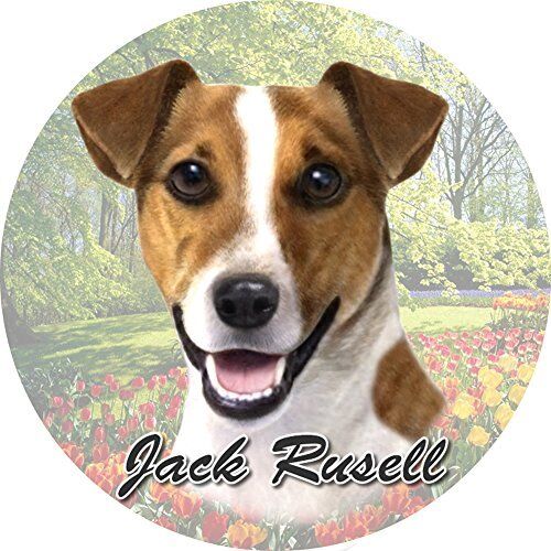 ES Pets Absorbent Stoneware Car Cup Holder Coaster, Jack Russell Terrier