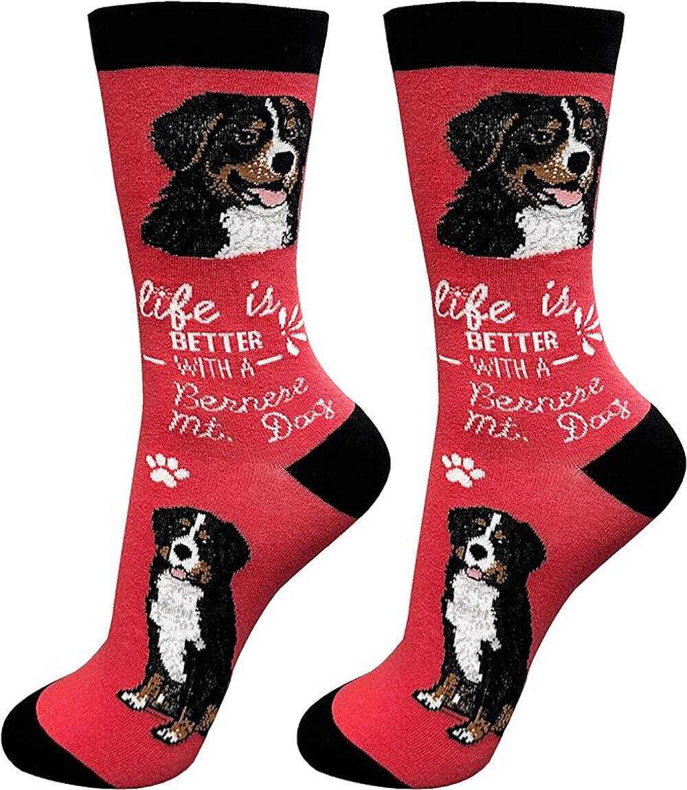 E&S Pets Pet Lover Socks, Life is Better with a Bernese Mountain Dog