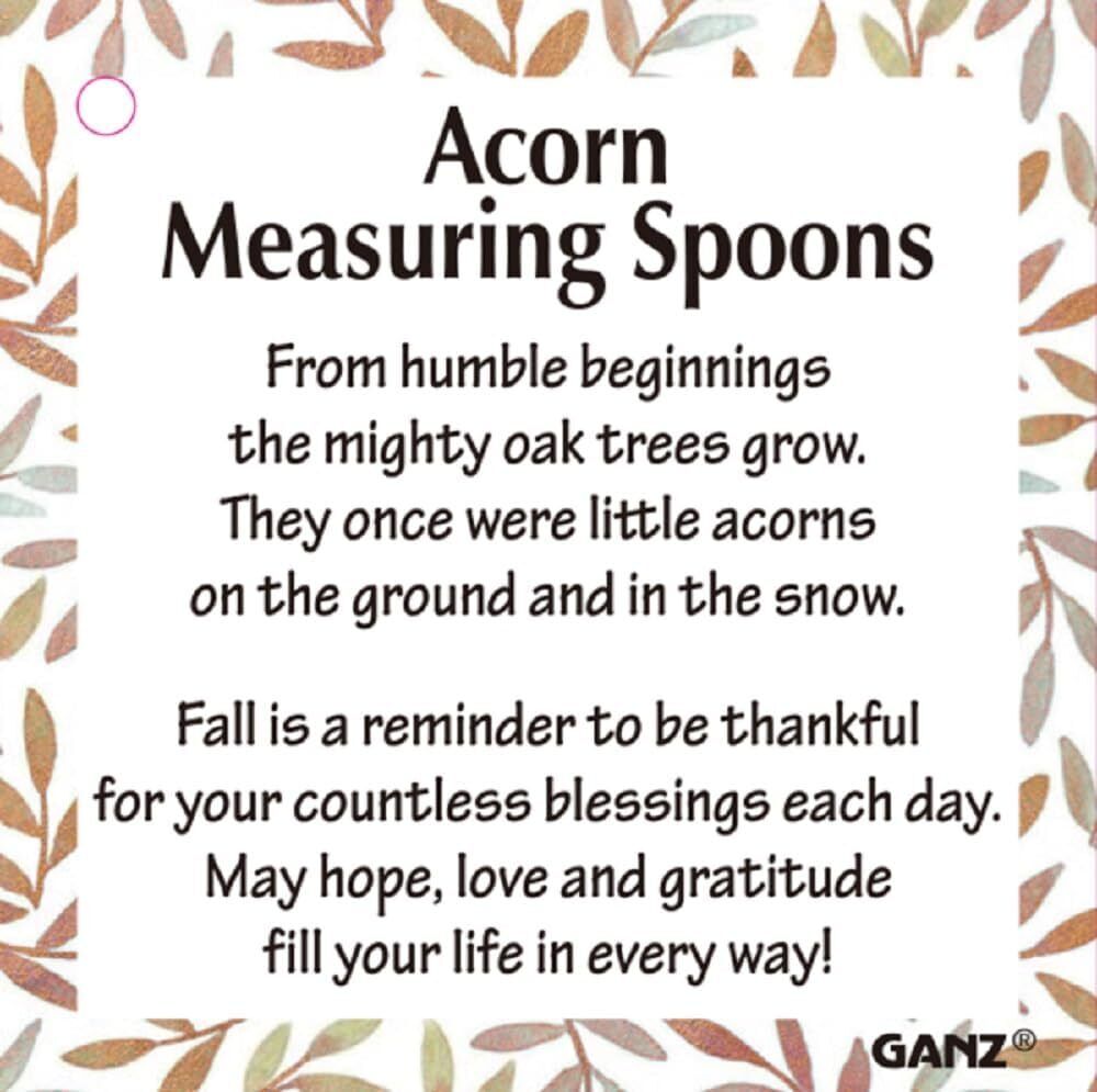 Ganz 4-Piece Set - Acorns Measuring Spoons (ER70371)