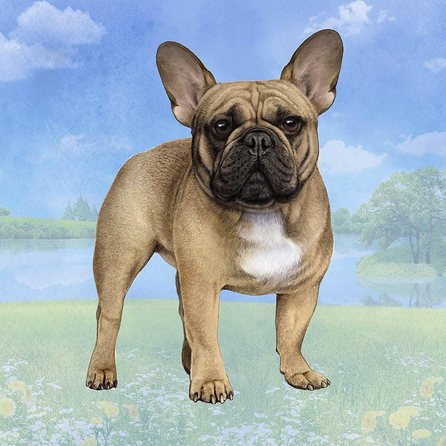 French Bulldog Tabletop Drink Coaster (1)
