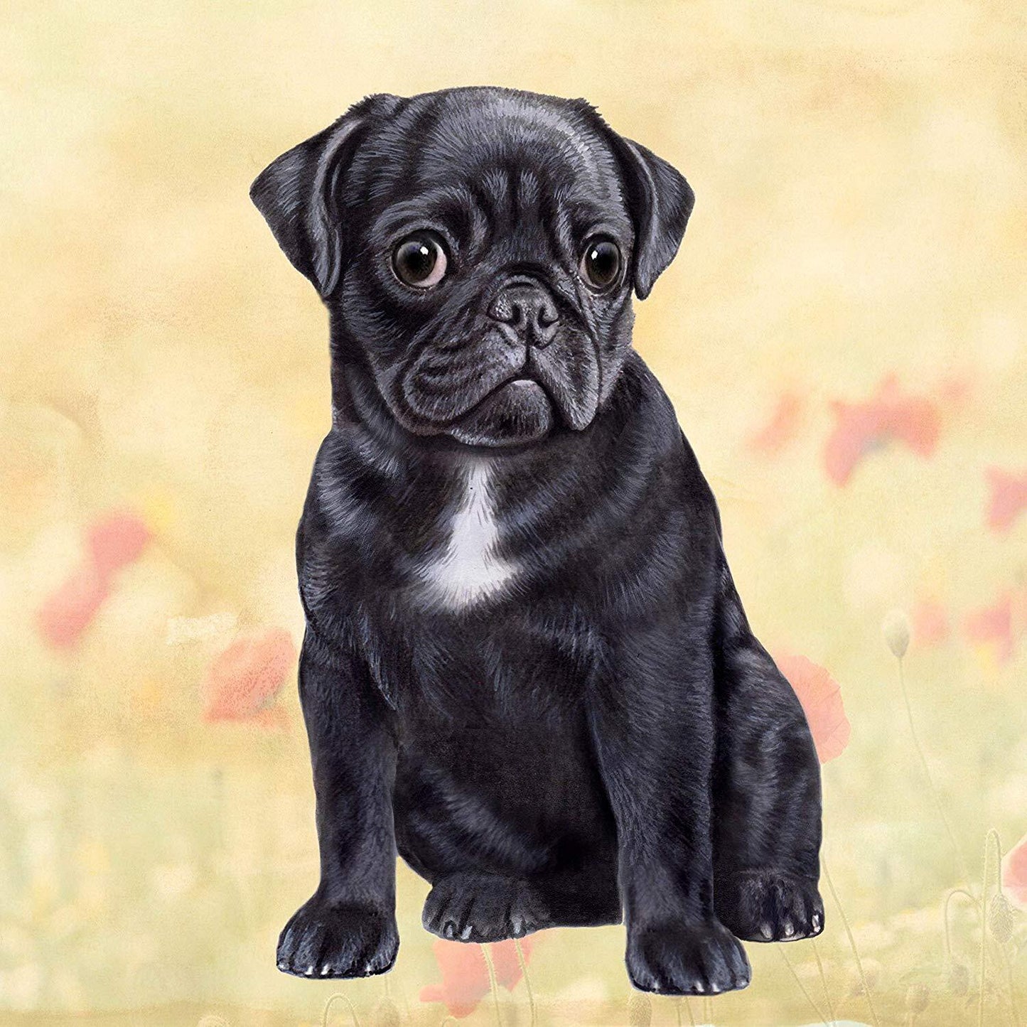 Pug (Black) Tabletop Drink Coaster (1)