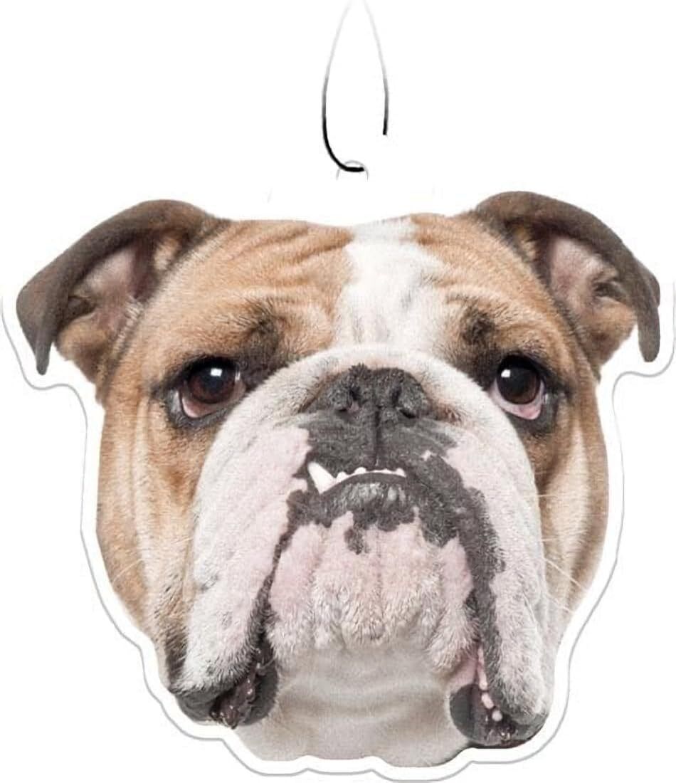 Spoontiques Bulldog Air Freshener (3-Pack)
