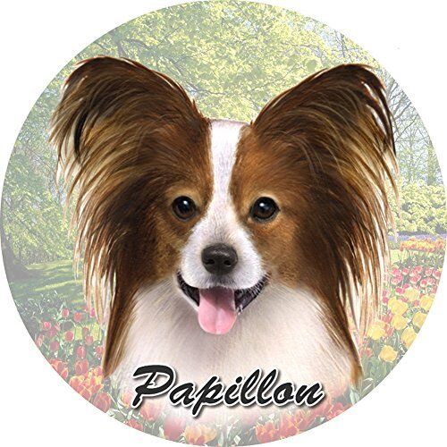 ES Pets Absorbent Stoneware Car Cup Holder Coaster, Papillon