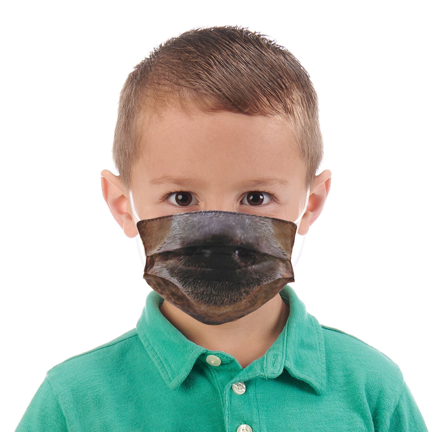 Wildlife Artists Fun Youth Animal Face Masks, Washable, Reusable - Sloth