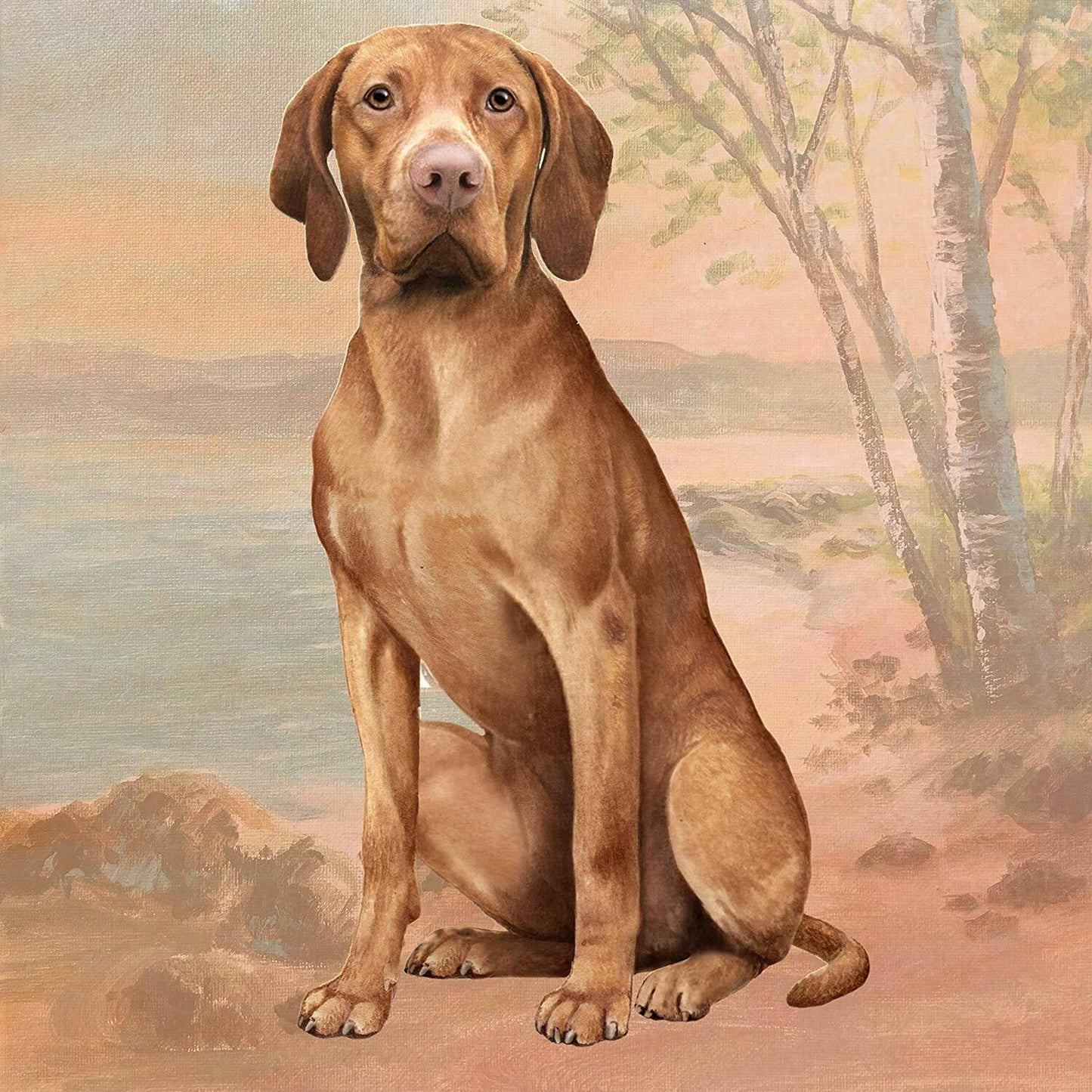 Vizsla Tabletop Drink Coaster (1)