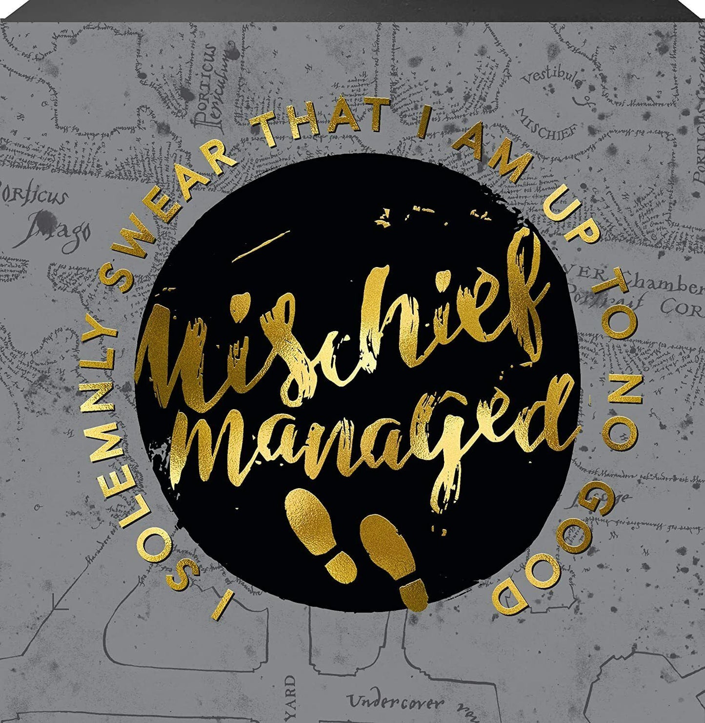 Spoontiques I Solemnly Swear Mischief Managed Box Sign, 6" x 6"