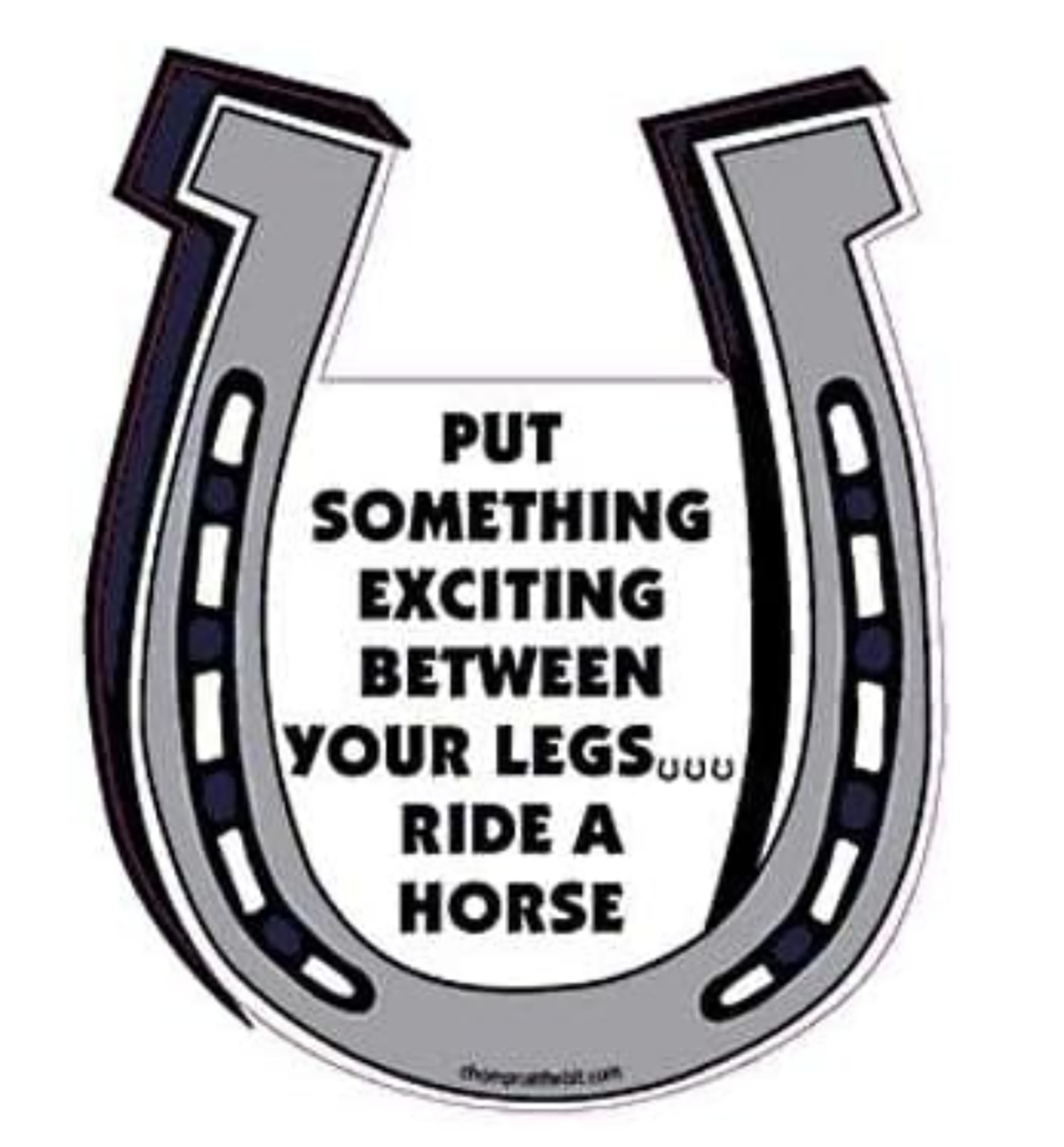 Put Something Exciting Between Your Legs.. Ride A Horse Horseshoe Magnet