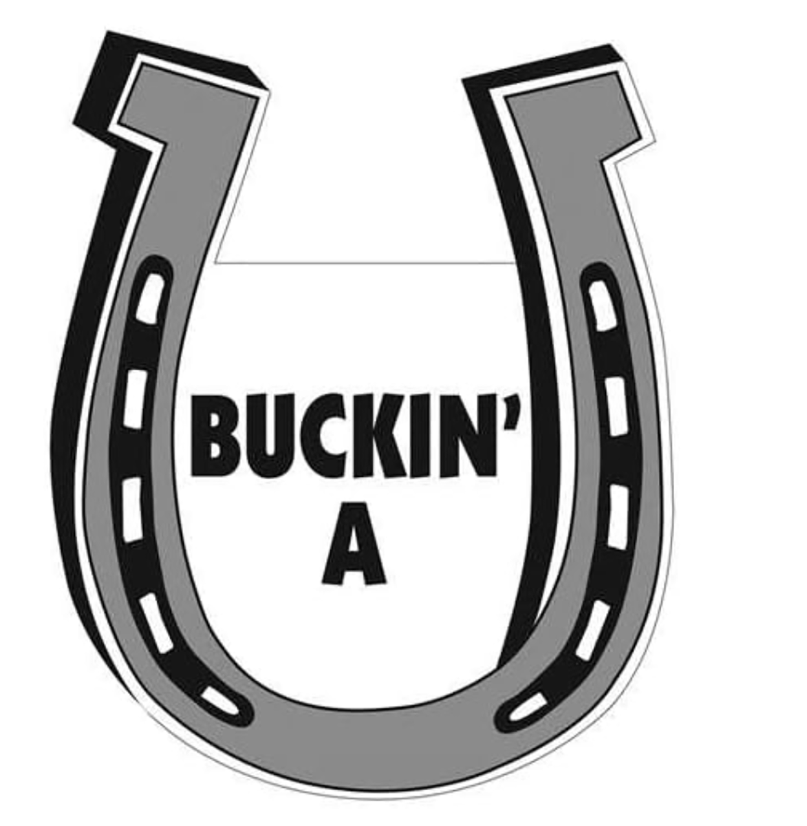 Pet Gifts USA Buckin' A Horseshoe Magnet for Car or Trailer