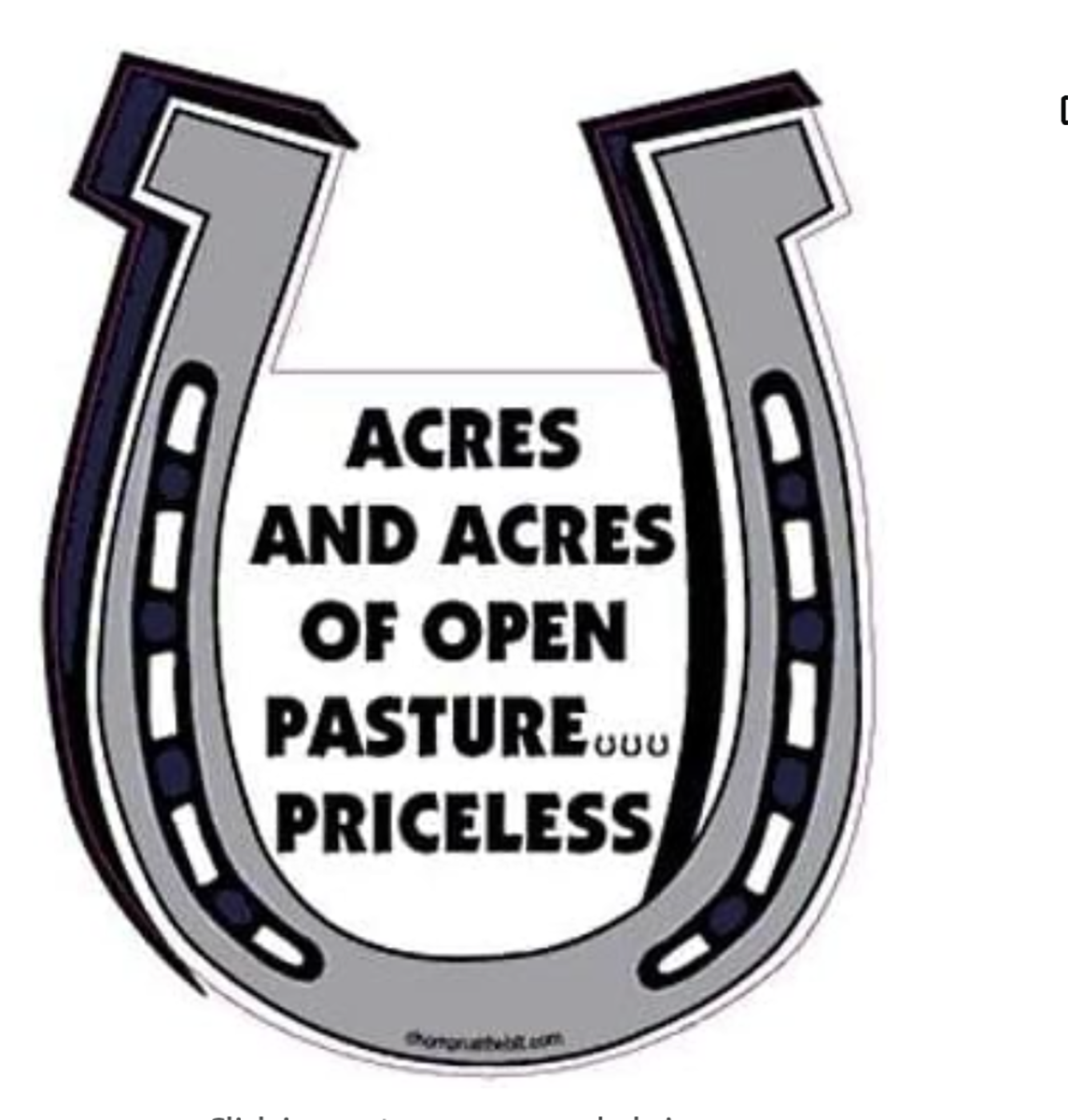 Acres And Acres Of Open Pasture... Priceless Horseshoe Magnet for Car or Trailer