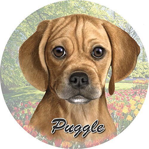 ES Pets Absorbent Stoneware Car Cup Holder Coaster, Puggle