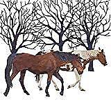 Paperproducts Design Cocktail Napkin (Pack of 20), Winter Solstice, Horse