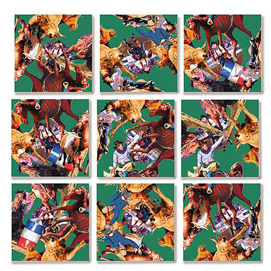 B Dazzle Rodeo Scramble Squares 9 Piece Puzzle