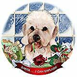 Dandie Dinmont Mustard Porcelain Ornament Pet Gift Santa I Can Explain!